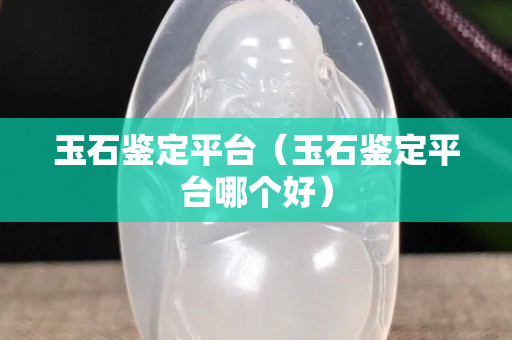 玉石鑒定平臺（玉石鑒定平臺哪個好）