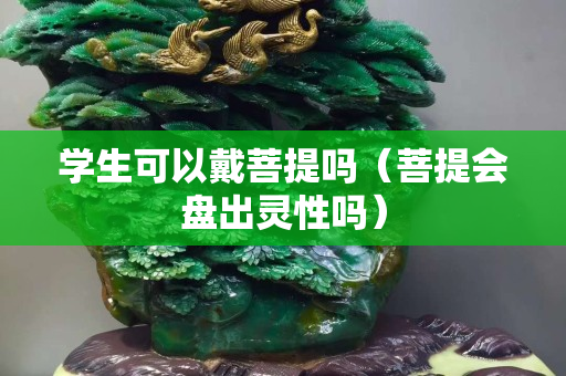 學生可以戴菩提嗎（菩提會盤出靈性嗎）