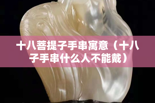 十八菩提子手串寓意（十八子手串什么人不能戴）