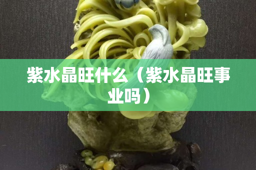 紫水晶旺什么（紫水晶旺事業嗎）