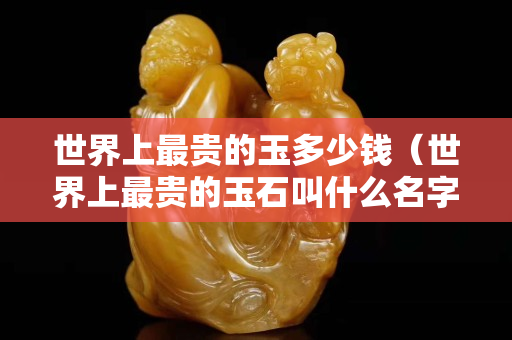 世界上最貴的玉多少錢（世界上最貴的玉石叫什么名字）