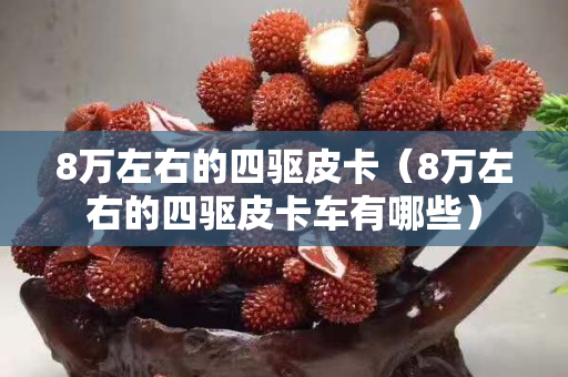 8萬(wàn)左右的四驅(qū)皮卡（8萬(wàn)左右的四驅(qū)皮卡車(chē)有哪些）
