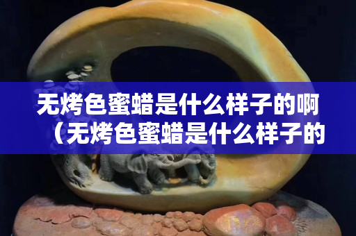 無(wú)烤色蜜蠟是什么樣子的啊（無(wú)烤色蜜蠟是什么樣子的啊）