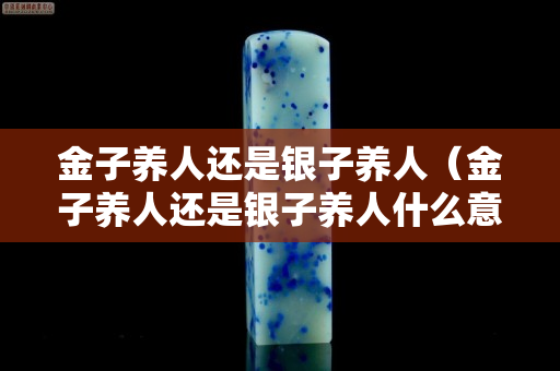 金子養人還是銀子養人（金子養人還是銀子養人什么意思）
