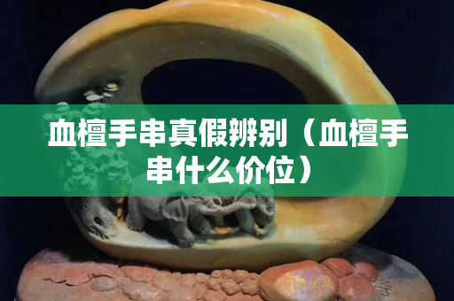 血檀手串真假辨別（血檀手串什么價位）