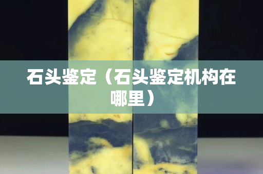 石頭鑒定（石頭鑒定機構在哪里）