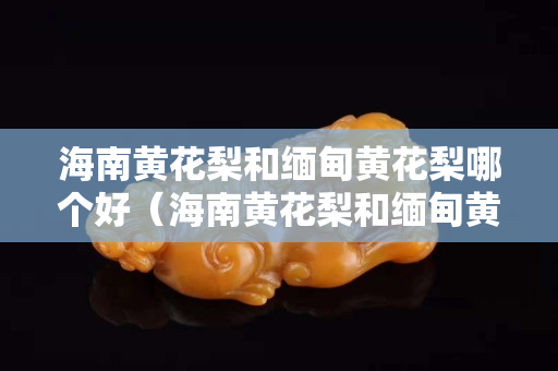 海南黃花梨和緬甸黃花梨哪個(gè)好（海南黃花梨和緬甸黃花梨哪個(gè)好些）