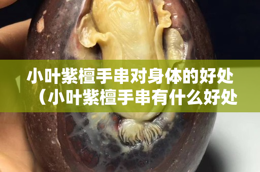 小葉紫檀手串對身體的好處（小葉紫檀手串有什么好處）