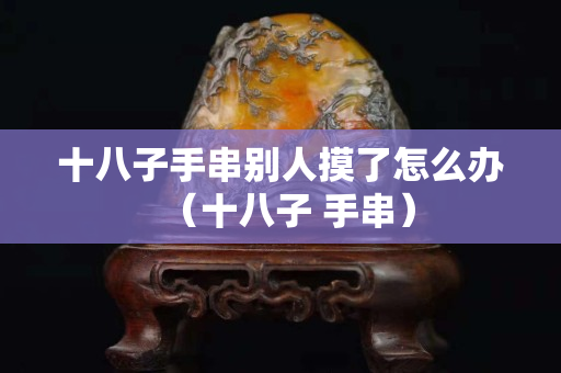 十八子手串別人摸了怎么辦（十八子 手串）
