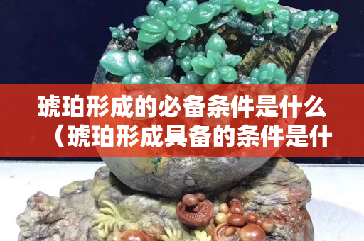琥珀形成的必備條件是什么（琥珀形成具備的條件是什么）