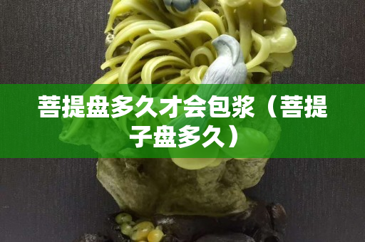 菩提盤多久才會包漿（菩提子盤多久）