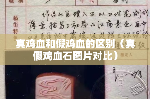 真雞血和假雞血的區(qū)別（真假雞血石圖片對比）