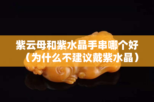 紫云母和紫水晶手串哪個好（為什么不建議戴紫水晶）