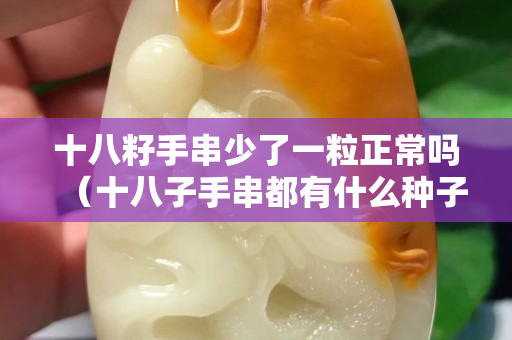 十八籽手串少了一粒正常嗎（十八子手串都有什么種子）