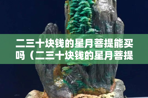 二三十塊錢的星月菩提能買嗎（二三十塊錢的星月菩提能買嗎安全嗎）
