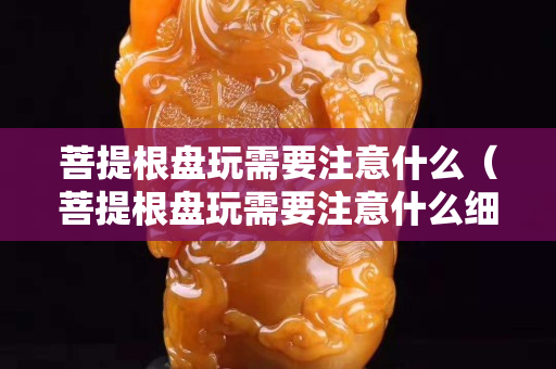 菩提根盤玩需要注意什么（菩提根盤玩需要注意什么細節）