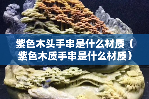 紫色木頭手串是什么材質（紫色木質手串是什么材質）