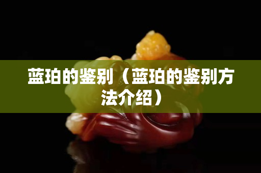藍(lán)珀的鑒別（藍(lán)珀的鑒別方法介紹）