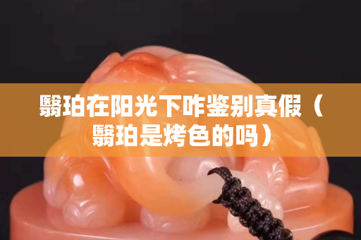翳珀在陽光下咋鑒別真假（翳珀是烤色的嗎）