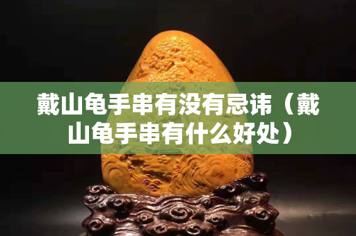 戴山龜手串有沒有忌諱（戴山龜手串有什么好處）