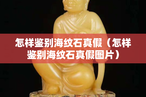 怎樣鑒別海紋石真假（怎樣鑒別海紋石真假圖片）