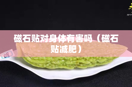 磁石貼對身體有害嗎（磁石貼減肥）