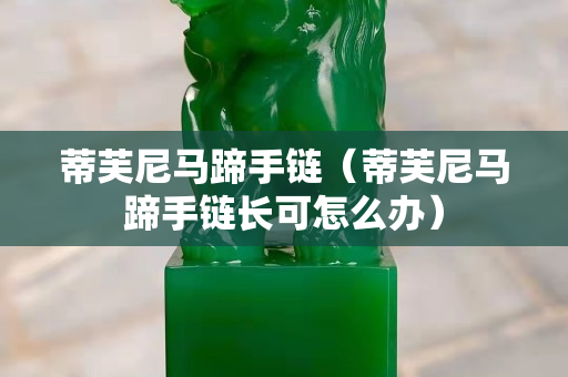 蒂芙尼馬蹄手鏈（蒂芙尼馬蹄手鏈長可怎么辦）
