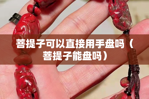 菩提子可以直接用手盤嗎（菩提子能盤嗎）