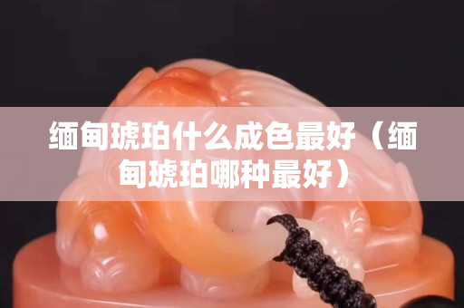 緬甸琥珀什么成色最好（緬甸琥珀哪種最好）