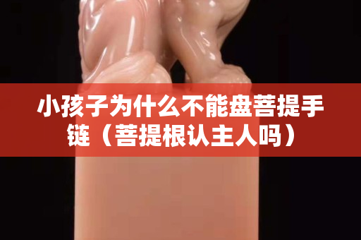 小孩子為什么不能盤菩提手鏈（菩提根認主人嗎）