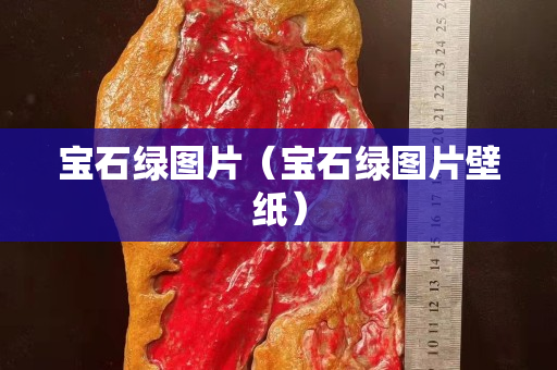 寶石綠圖片（寶石綠圖片壁紙）