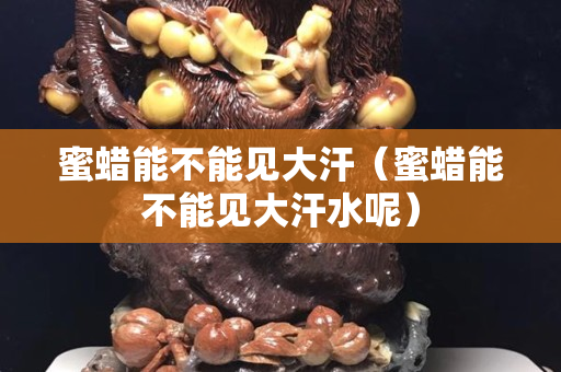 蜜蠟能不能見大汗（蜜蠟能不能見大汗水呢）