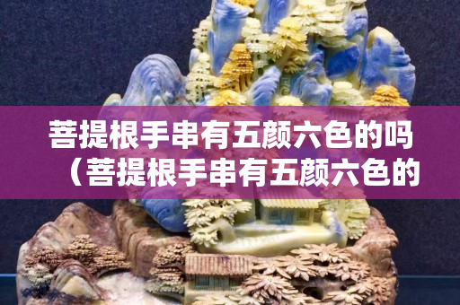 菩提根手串有五顏六色的嗎（菩提根手串有五顏六色的嗎）