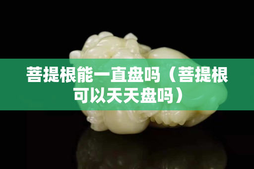 菩提根能一直盤嗎（菩提根可以天天盤嗎）