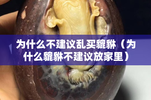 為什么不建議亂買貔貅（為什么貔貅不建議放家里）
