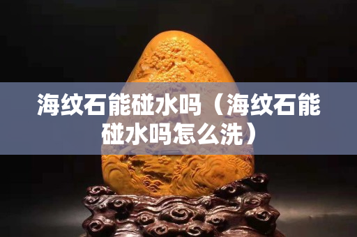 海紋石能碰水嗎（海紋石能碰水嗎怎么洗）