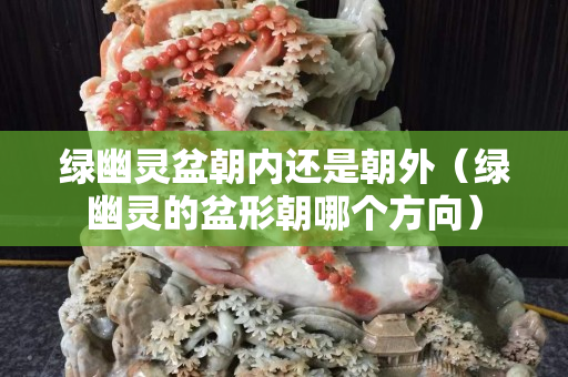 綠幽靈盆朝內(nèi)還是朝外（綠幽靈的盆形朝哪個(gè)方向）