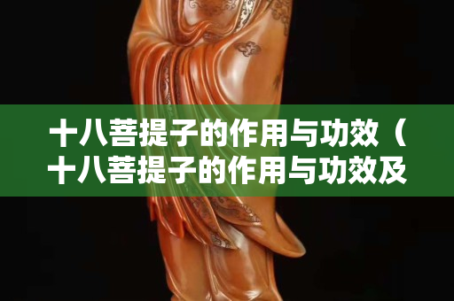 十八菩提子的作用與功效（十八菩提子的作用與功效及禁忌）