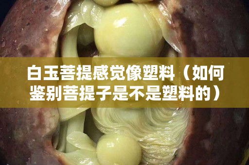 白玉菩提感覺像塑料（如何鑒別菩提子是不是塑料的）