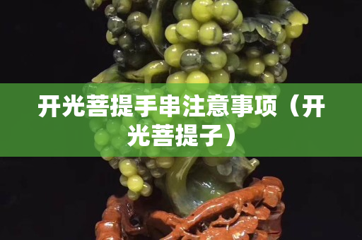 開光菩提手串注意事項(xiàng)（開光菩提子）