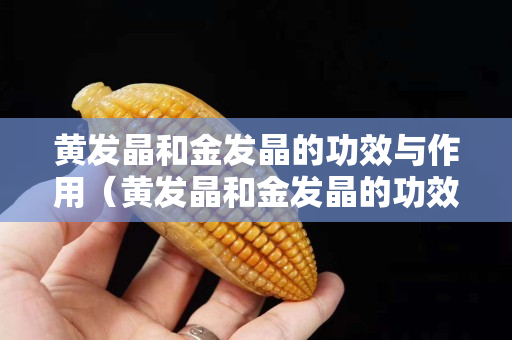 黃發(fā)晶和金發(fā)晶的功效與作用（黃發(fā)晶和金發(fā)晶的功效與作用是什么）