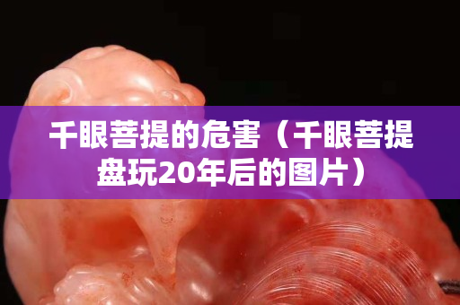 千眼菩提的危害（千眼菩提盤玩20年后的圖片）