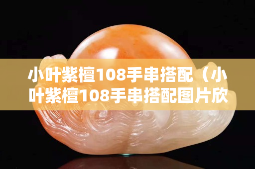 小葉紫檀108手串搭配（小葉紫檀108手串搭配圖片欣賞）