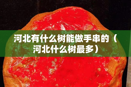 河北有什么樹能做手串的（河北什么樹最多）