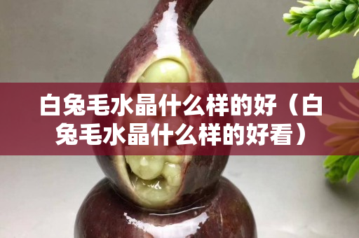 白兔毛水晶什么樣的好（白兔毛水晶什么樣的好看）