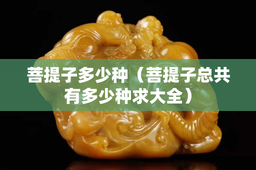 菩提子多少種（菩提子總共有多少種求大全）