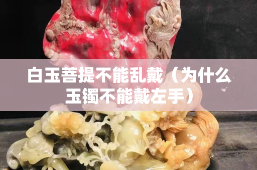 白玉菩提不能亂戴（為什么玉鐲不能戴左手）