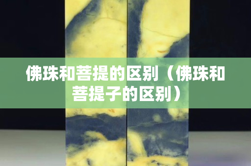 佛珠和菩提的區別（佛珠和菩提子的區別）
