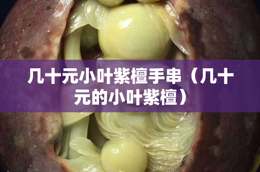 幾十元小葉紫檀手串（幾十元的小葉紫檀）