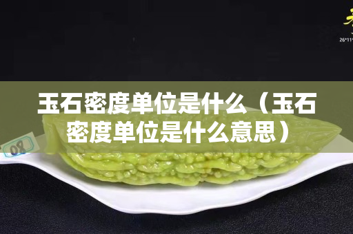 玉石密度單位是什么（玉石密度單位是什么意思）